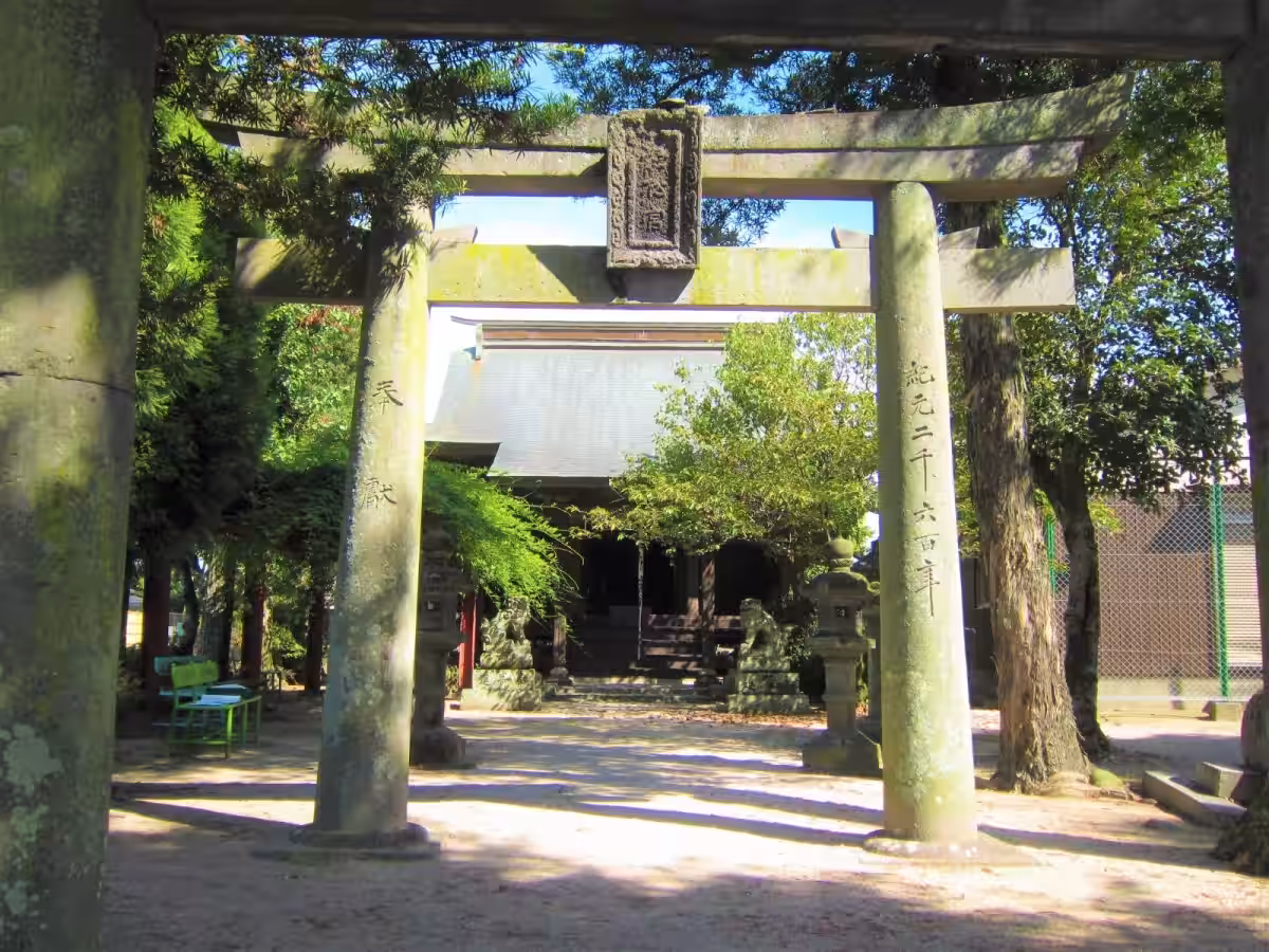 画像4