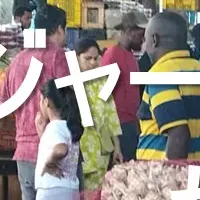 魅力満載のスワヒリ都市