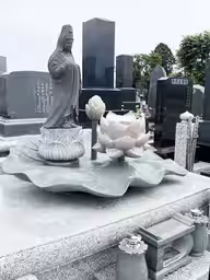 画像7