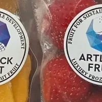 アートロックフルーツ登場