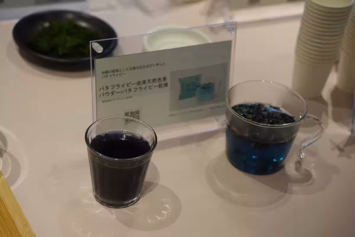 画像6