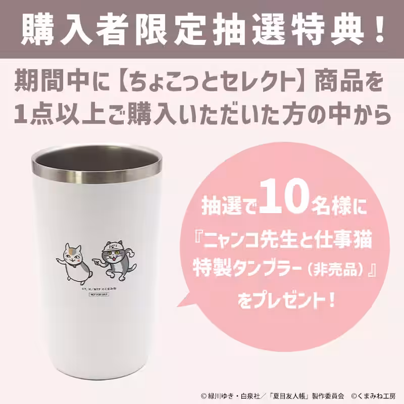 画像17