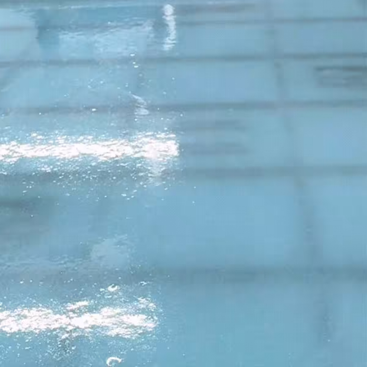 画像12