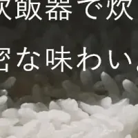 炊飯革命Re・De Pot