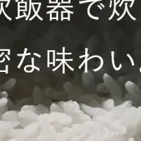 炊飯革命が到来！