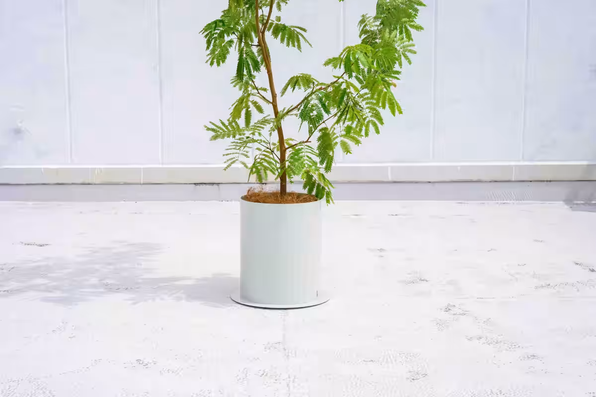 画像14