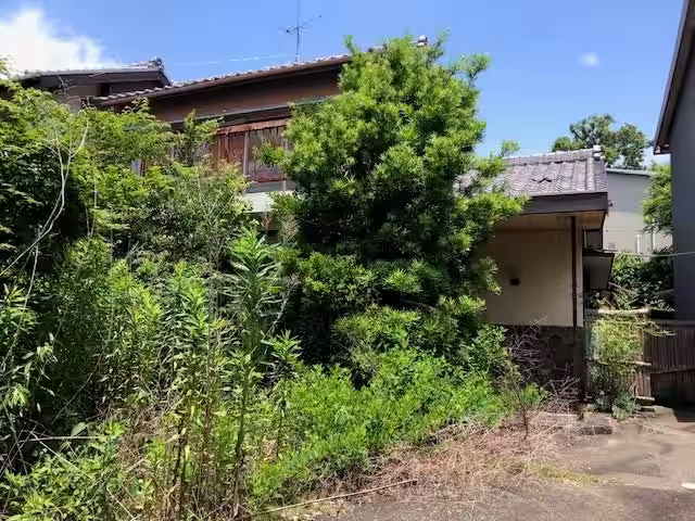 画像4