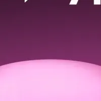 スマートライティング特集