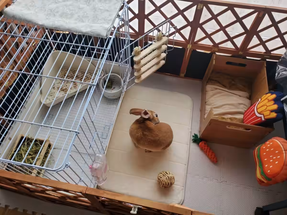 画像14