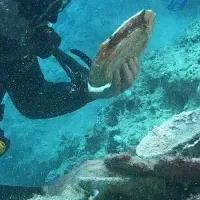 トルコで沈没船発見