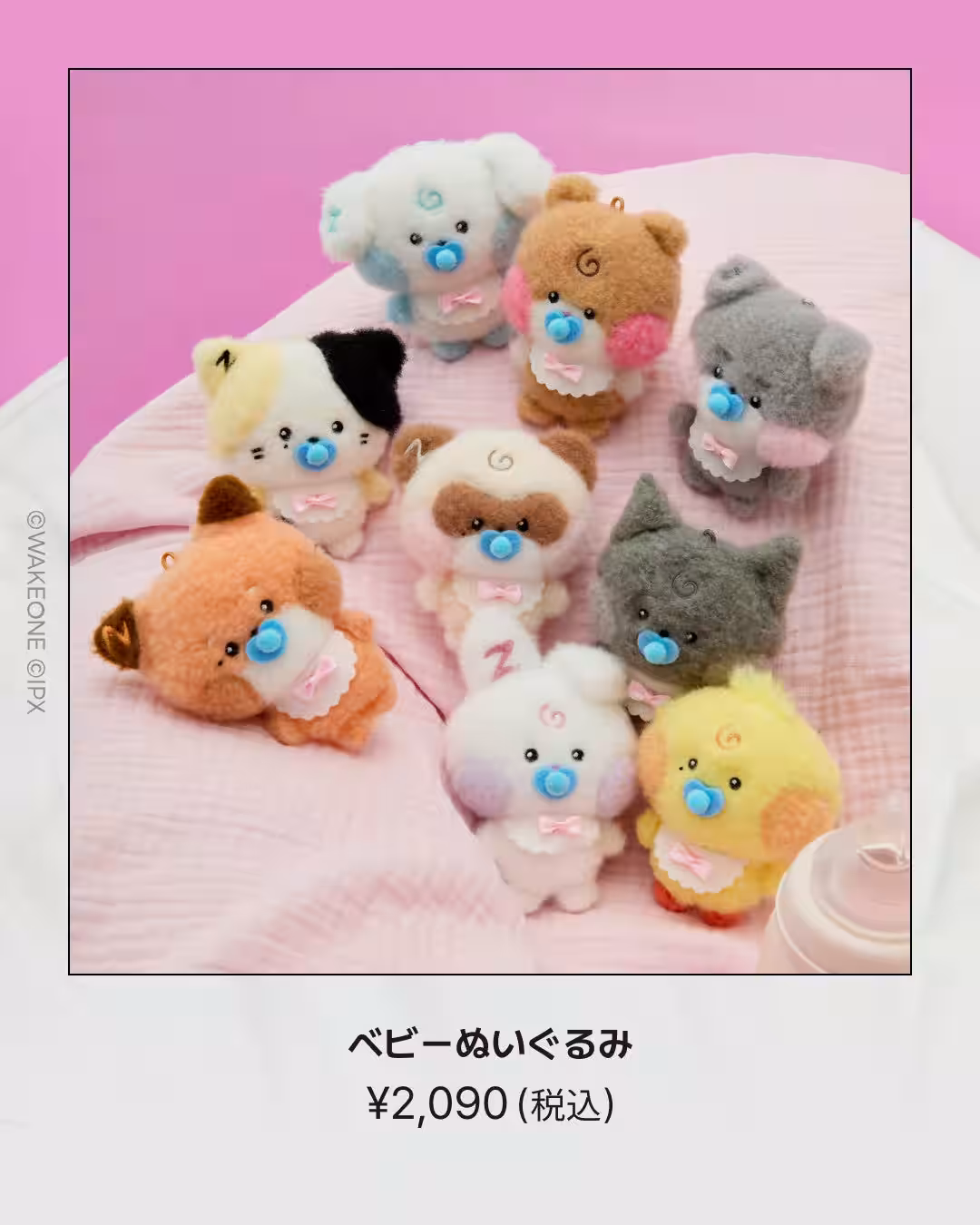 画像4