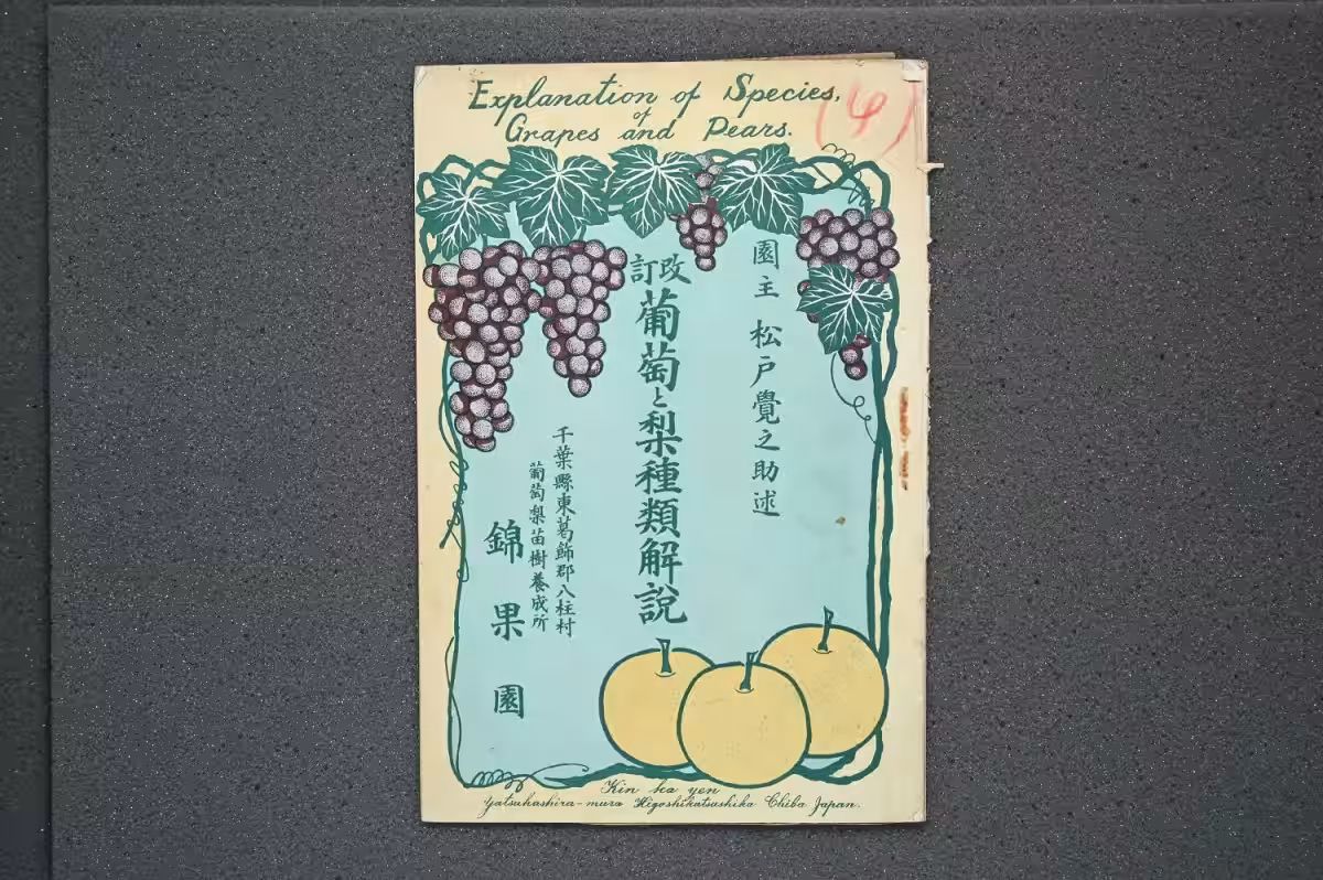 画像3