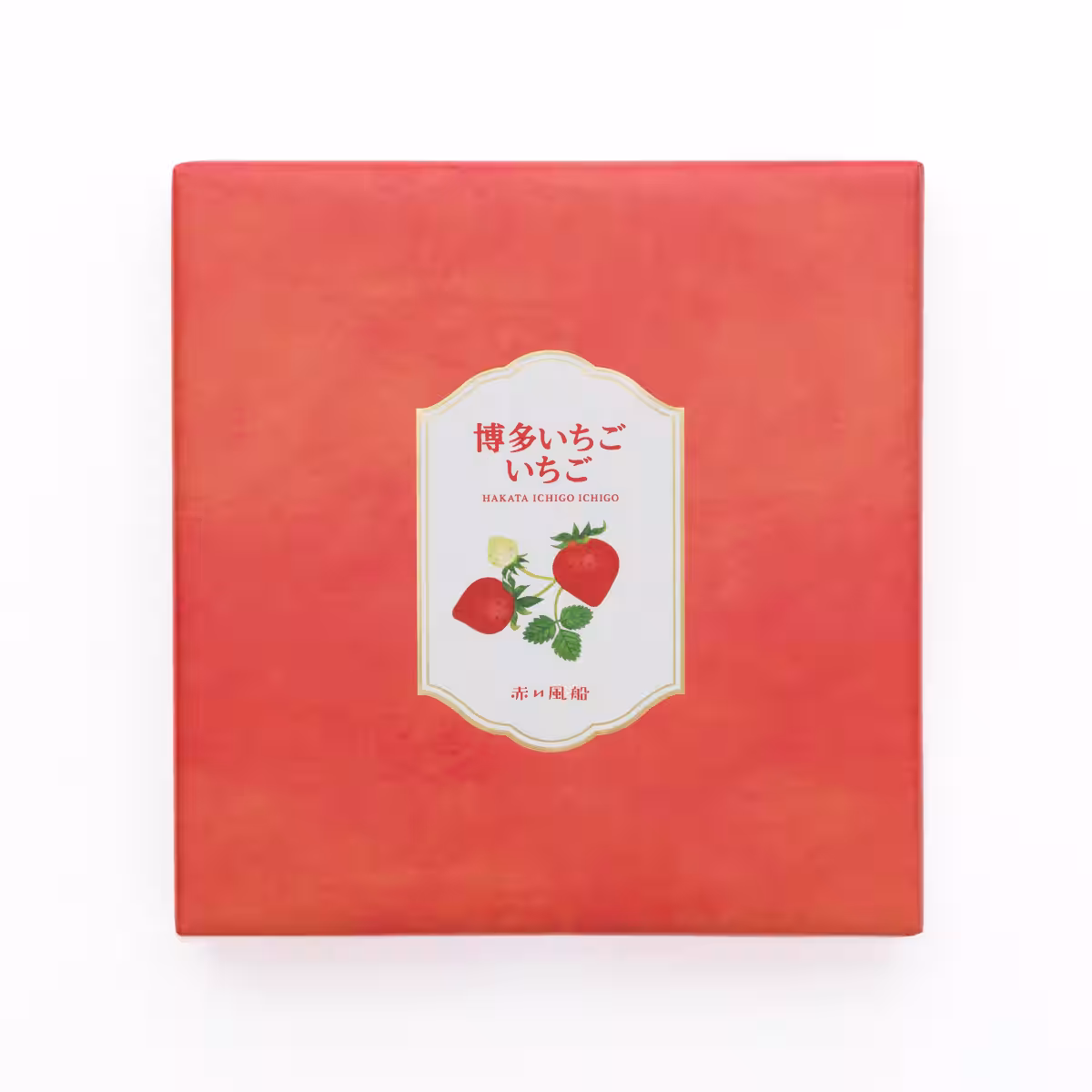画像9