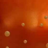 LYMPHOGENiXが資金調達