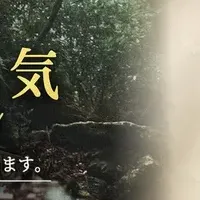 ブラジルのジン上陸