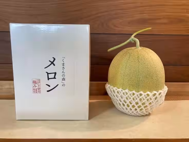 画像11