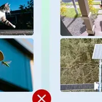 AOVソーラーカメラの魅力