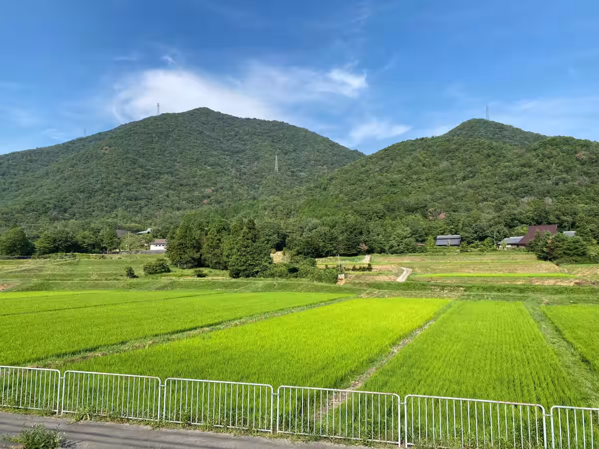 画像14