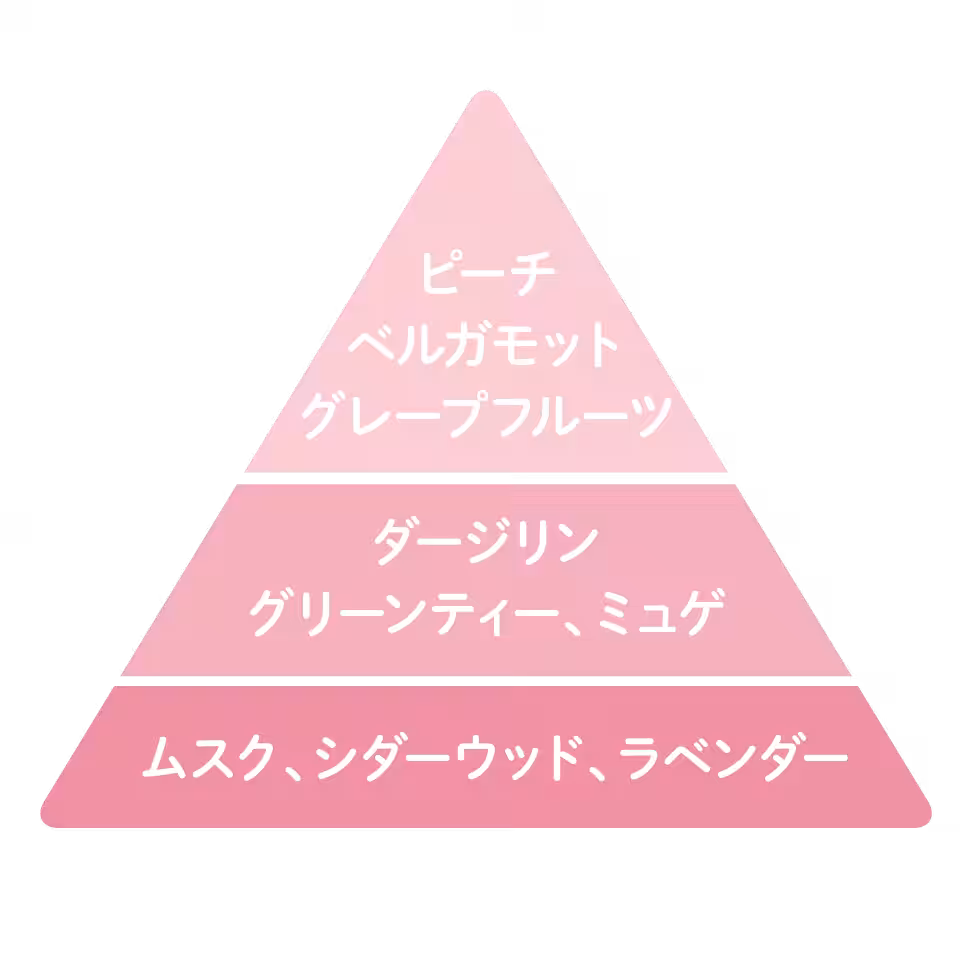 画像12