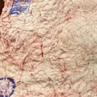 優秀賞受賞の魅力