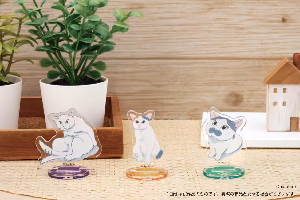 画像11