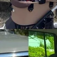 愛犬との快適旅行