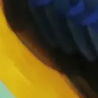 カワセミ大図鑑