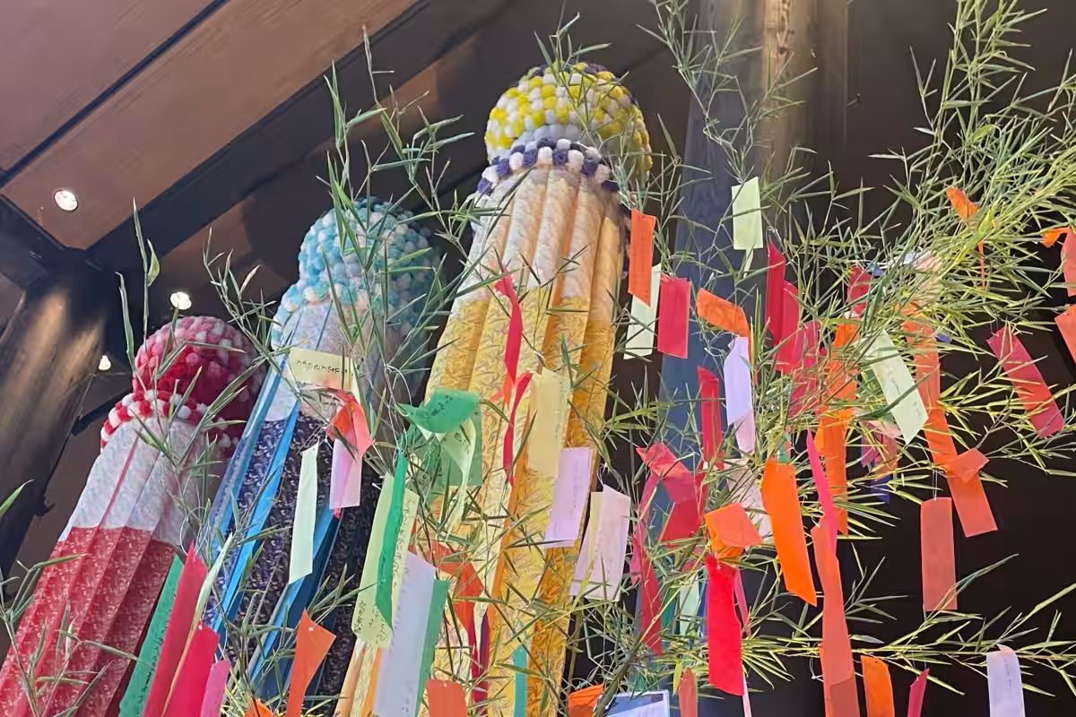 画像15