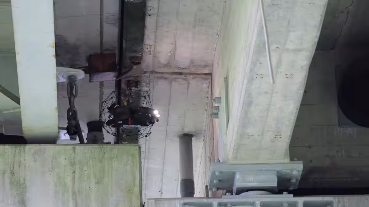 画像15