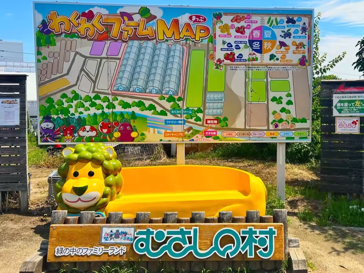 画像5