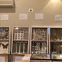 むし展〜かわひらこ〜