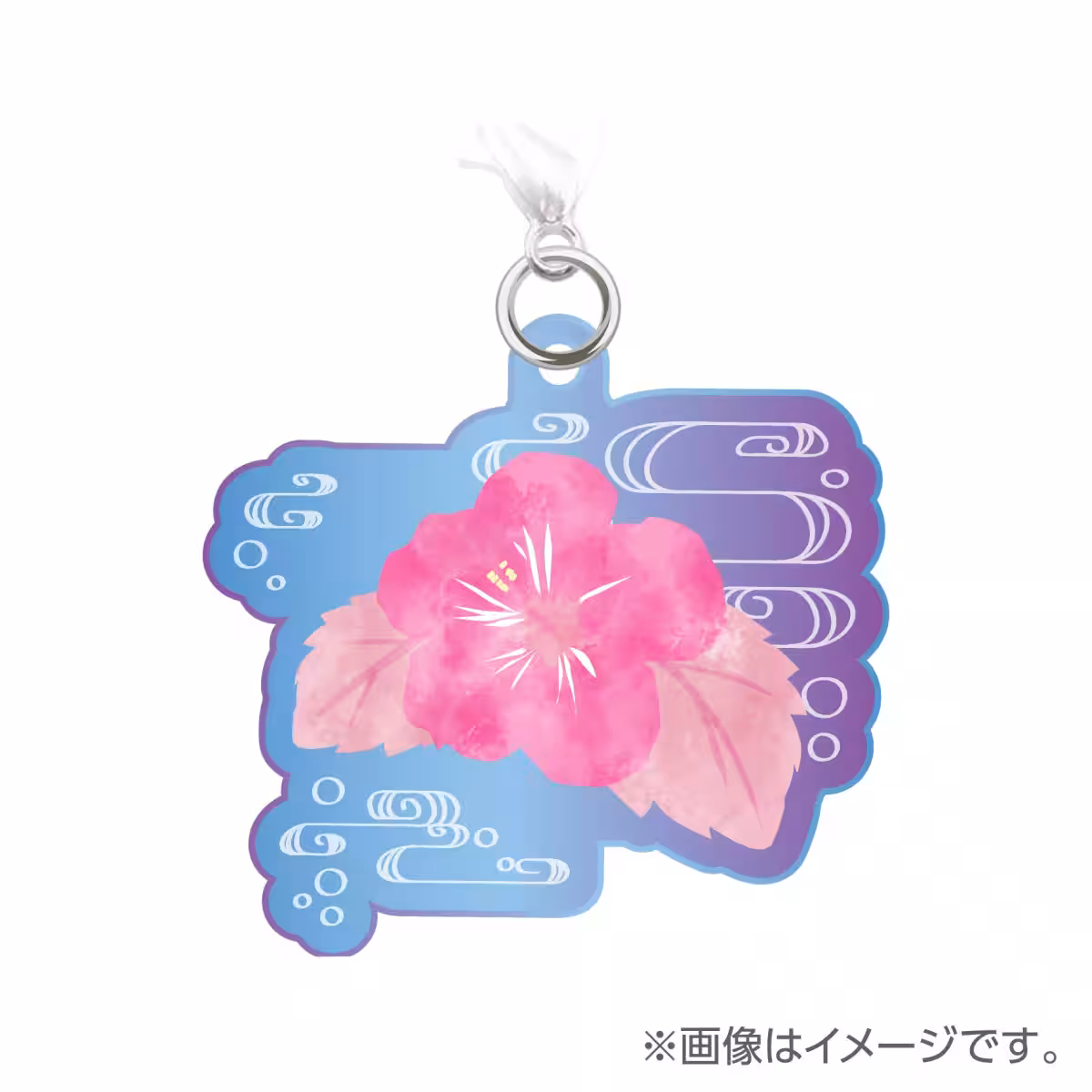 画像9