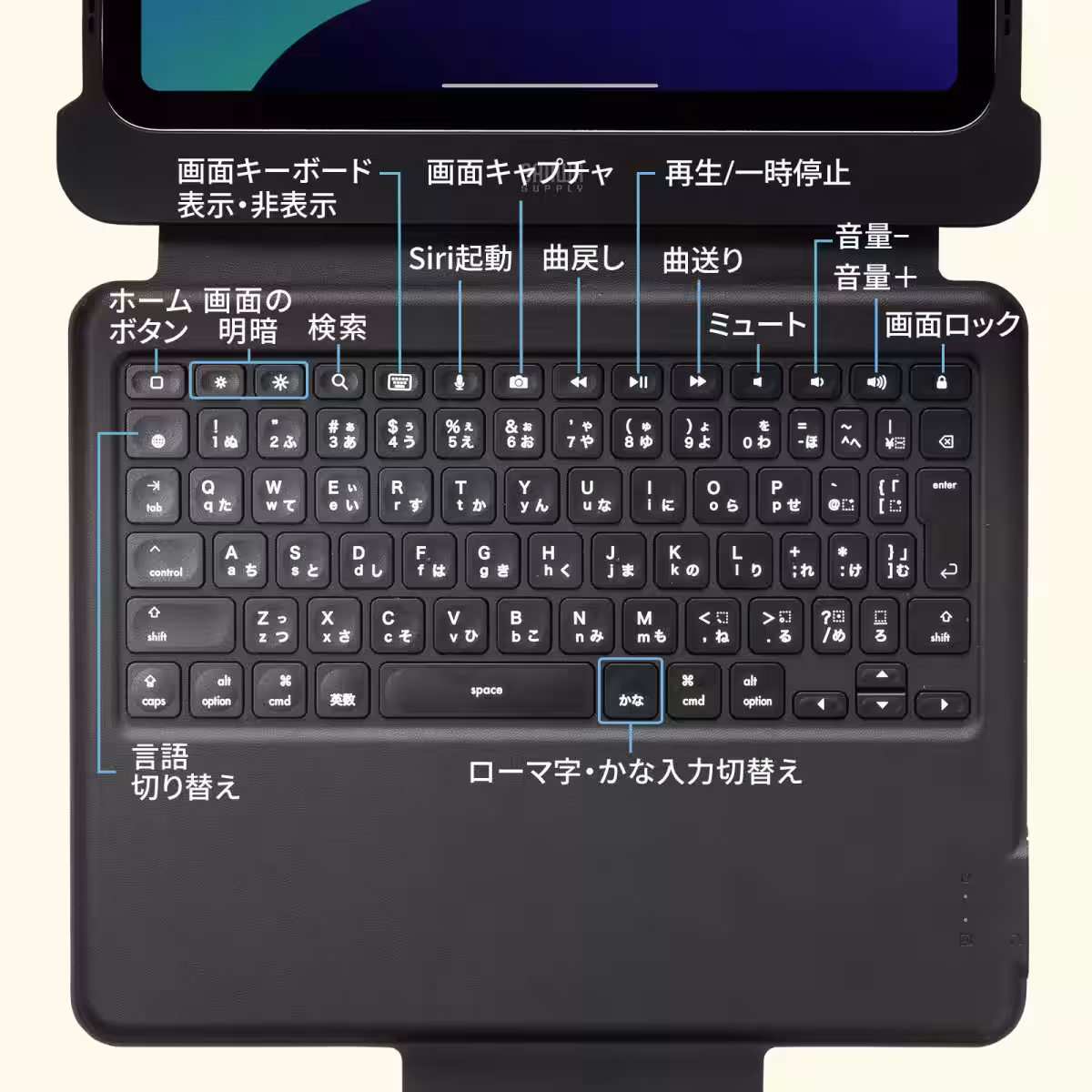 画像4