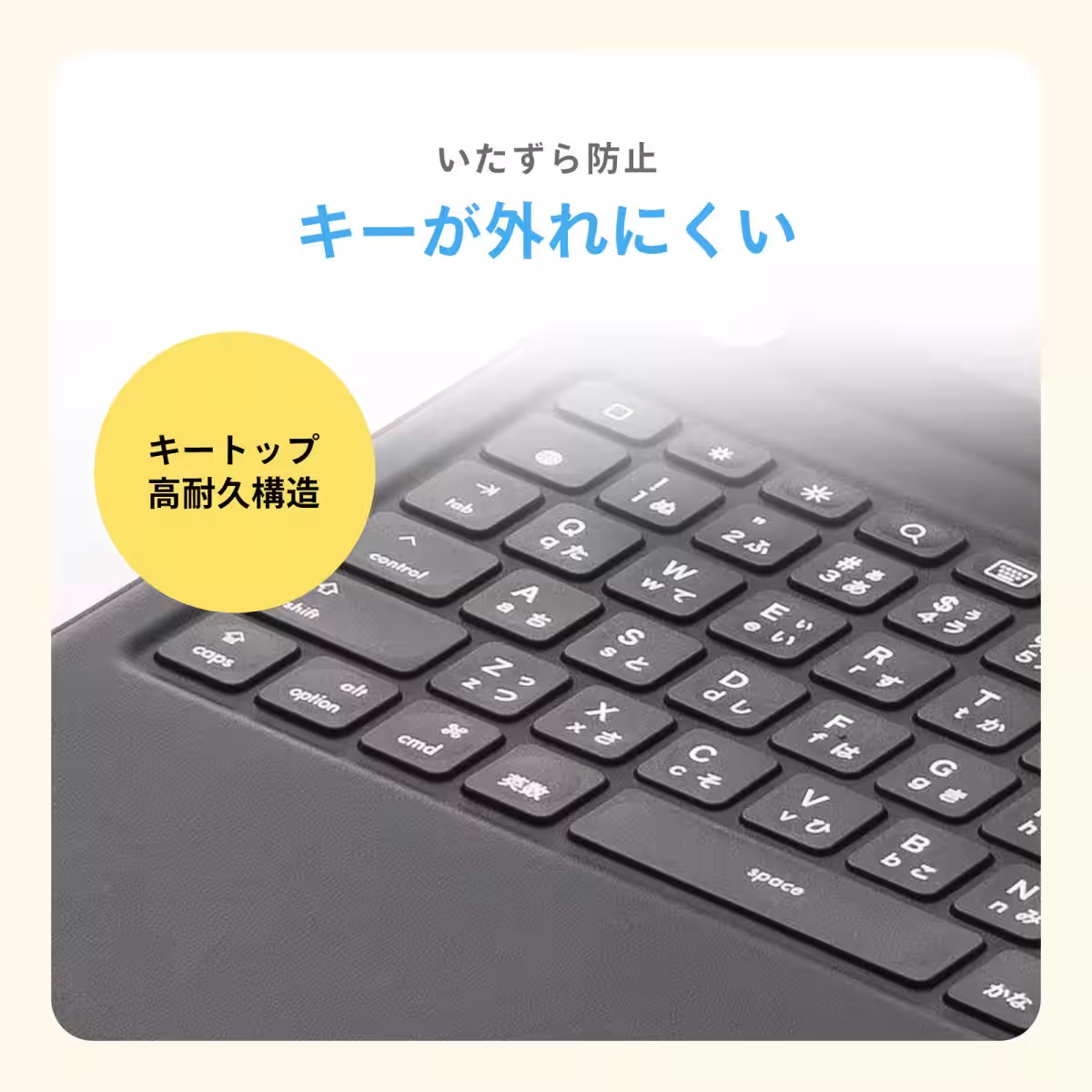 画像6