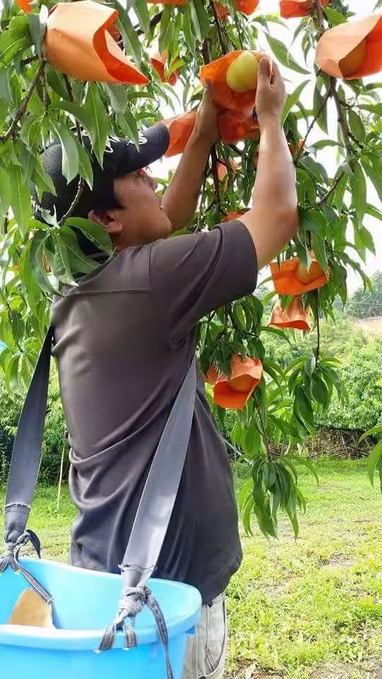 画像7