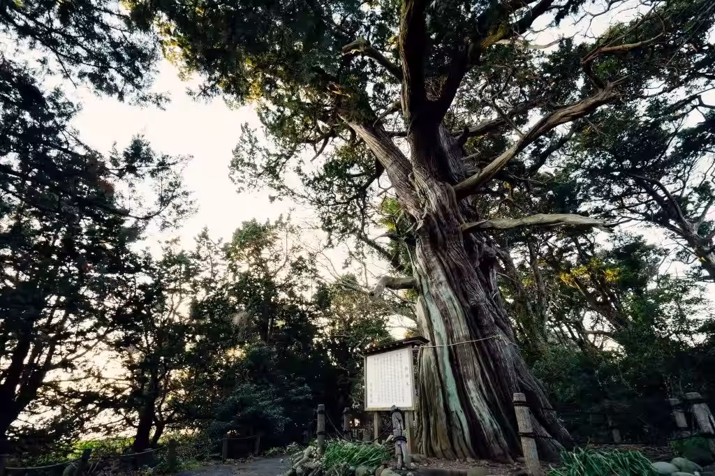 画像11