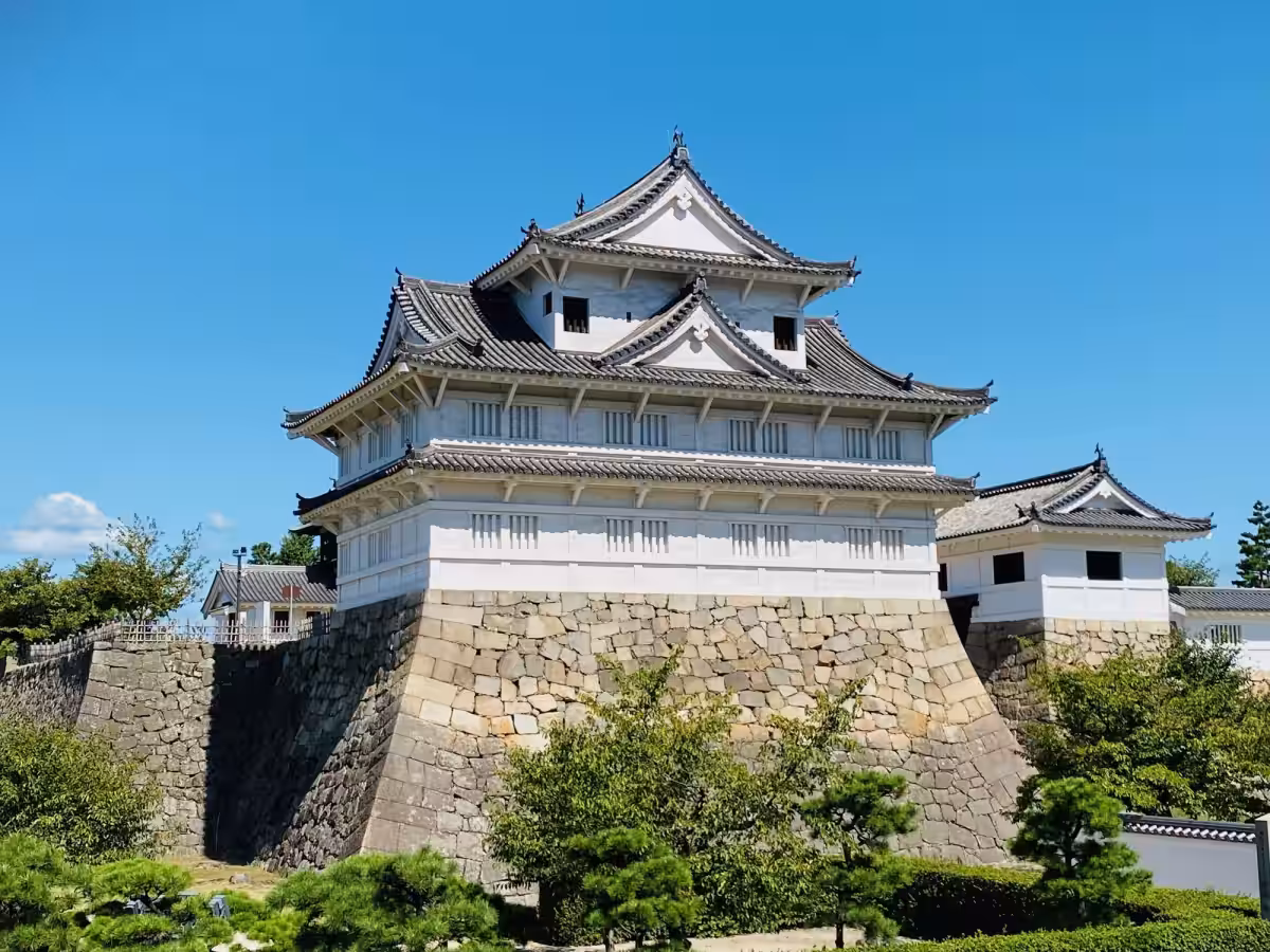 画像1