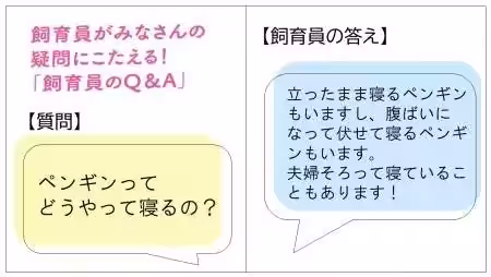 画像15