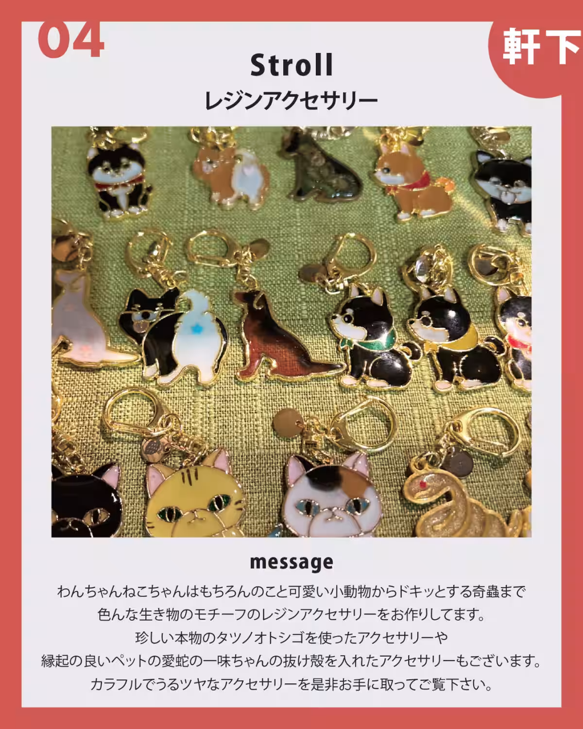 画像9