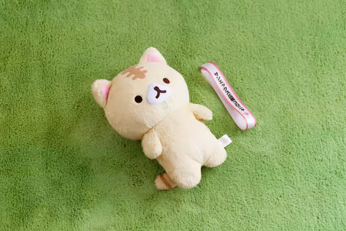 画像21