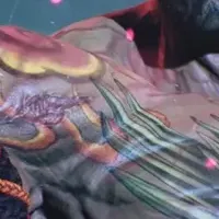 ファーカムラム登場！