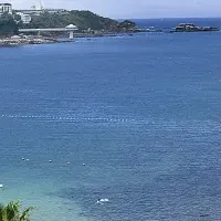 夏の特別ランチ