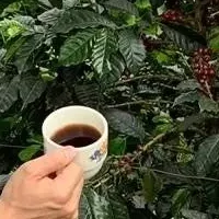 尊厳を考えるイベント