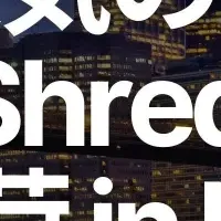 ニューヨークに再登場