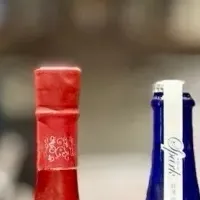 新政の日本酒飲み比べ