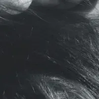 JPS2025新入会員展