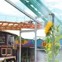 2025夏季営業情報