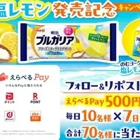 夏のフローズンデザート