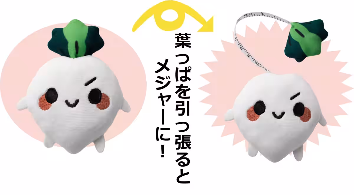 画像4