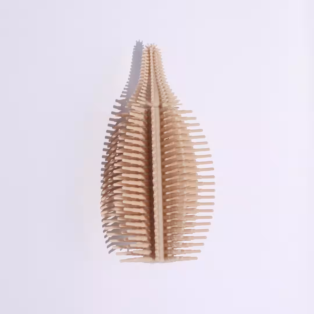 画像15
